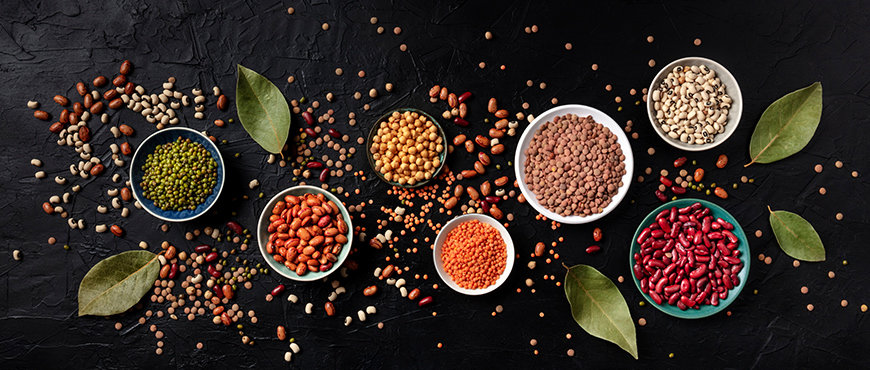 Organic Pulses jpg